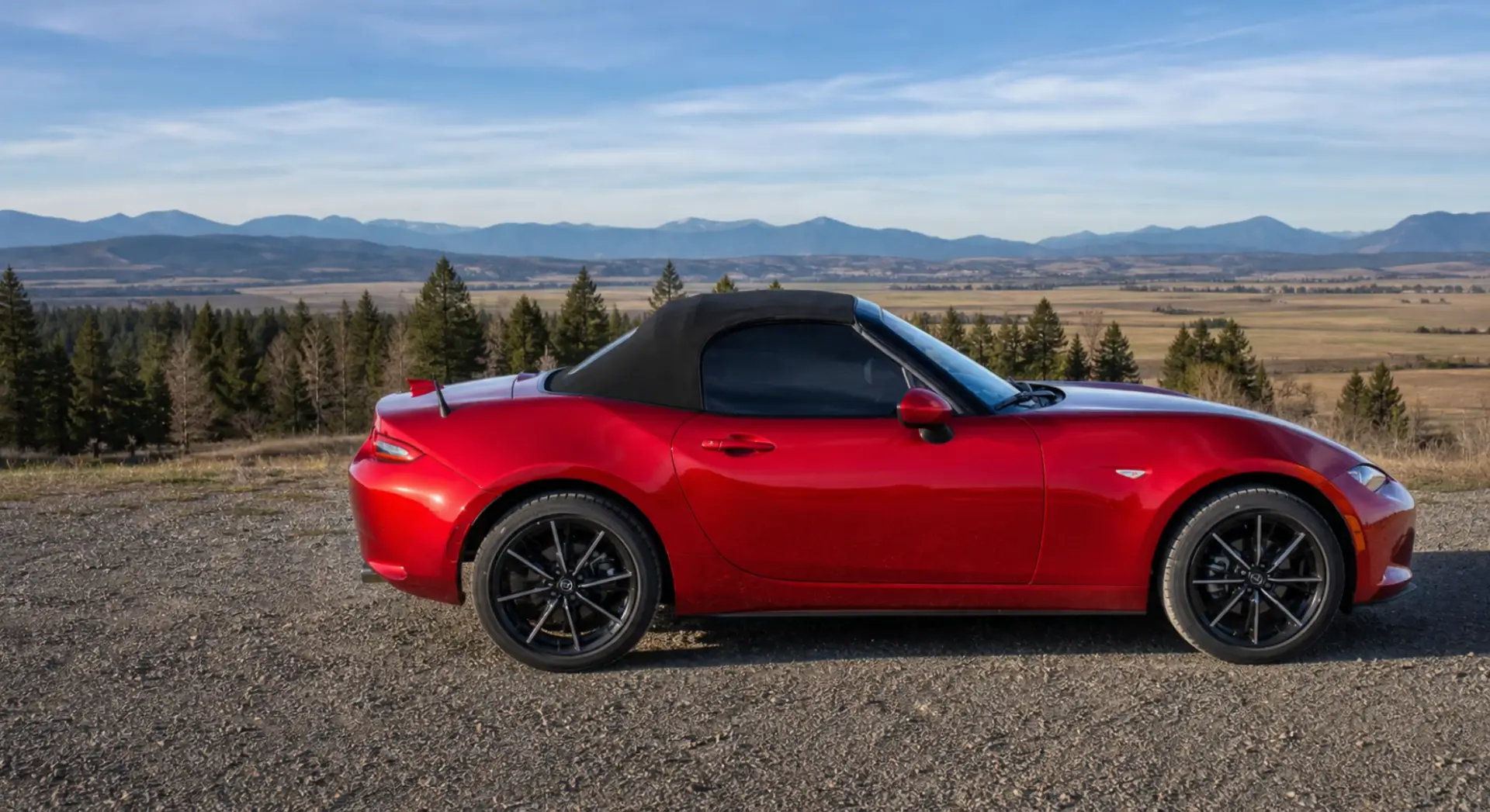 automotive window tint (4)